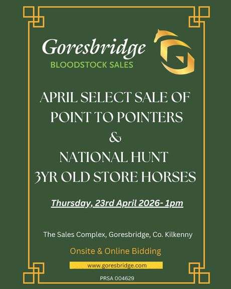 Select Sale of Point To Point & NH 3YO Stores