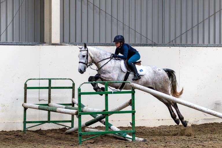 May Sport Horse & Connemara Sale (Day 1)
