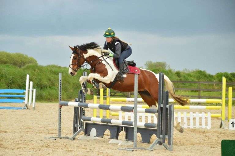July 7th, 8th, 9th & 10th Sport Horse Performance Sale (Day 2)