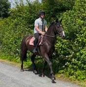 CAPTAINS HILL NERO