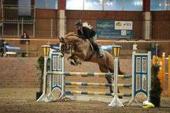BOHOLA THUNDER ROLL