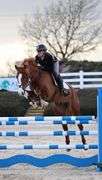 BOHOLA THUNDER ROLL