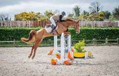 BOHOLA THUNDER ROLL