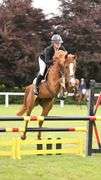 BOHOLA THUNDER ROLL
