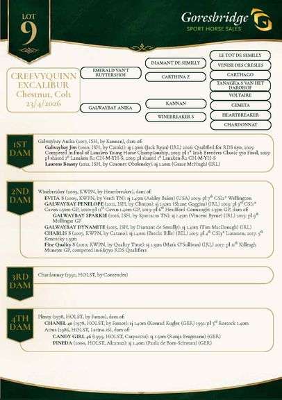 Creevyquin Excalibur