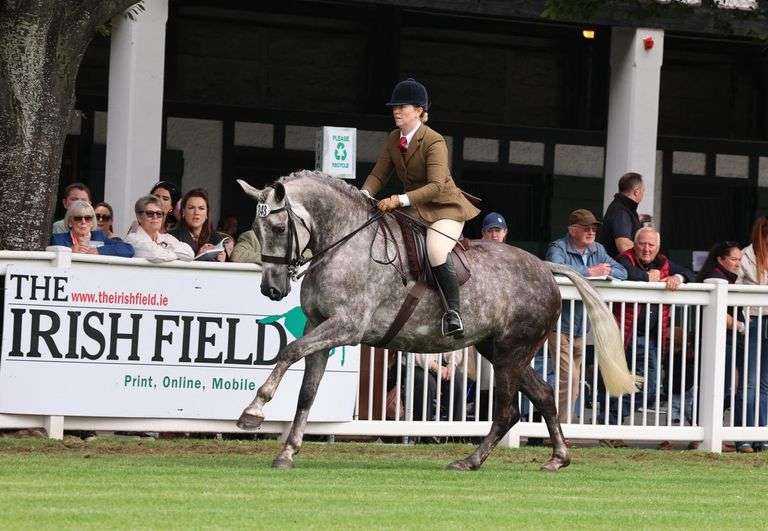 KILDALTON WONDER
