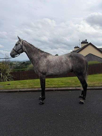 KILDERRY MO CHROI