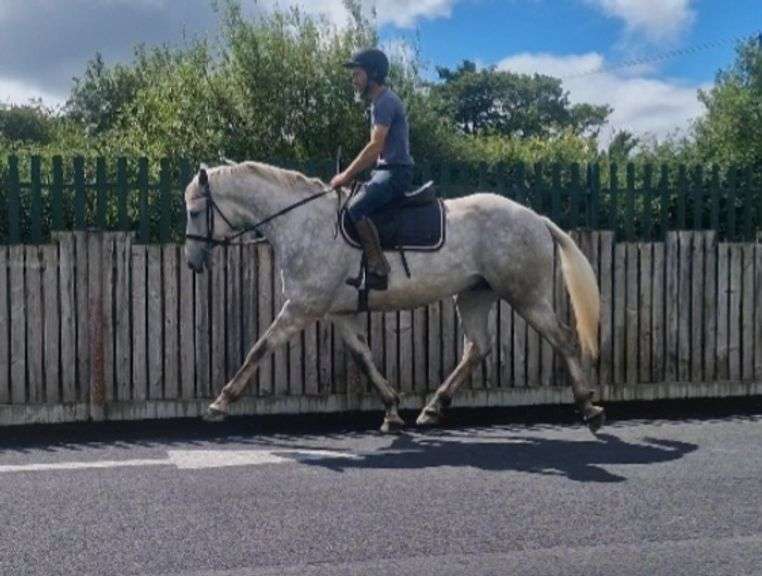 CARTRONS CLOSE SHAVE