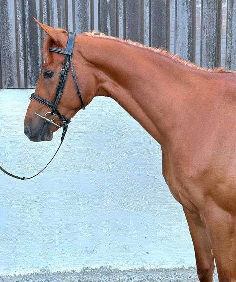 CAPPULCORRAGH GO DANCE