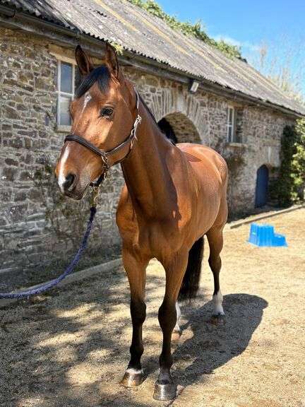 GRANGEBEG OBIE