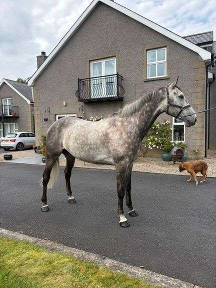 KILDERRY MO CHROI