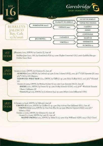 Berkleys Jalisco