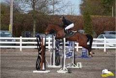 KINMAR CHEEKY BOY