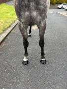 KILDERRY MO CHROI