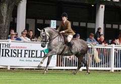 KILDALTON WONDER