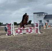 CAPPULCORRAGH GO DANCE