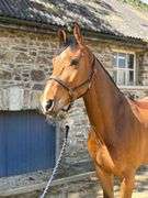 GRANGEBEG OBIE