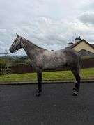 KILDERRY MO CHROI