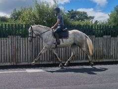 CARTRONS CLOSE SHAVE