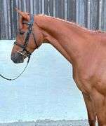 CAPPULCORRAGH GO DANCE