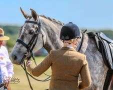 KILDALTON WONDER