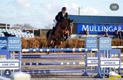 KINMAR CHEEKY BOY