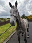 KILDERRY MO CHROI