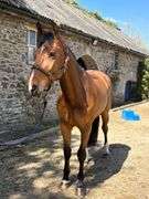 GRANGEBEG OBIE