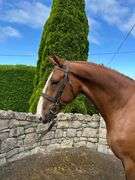 MY EEKINA JESSY