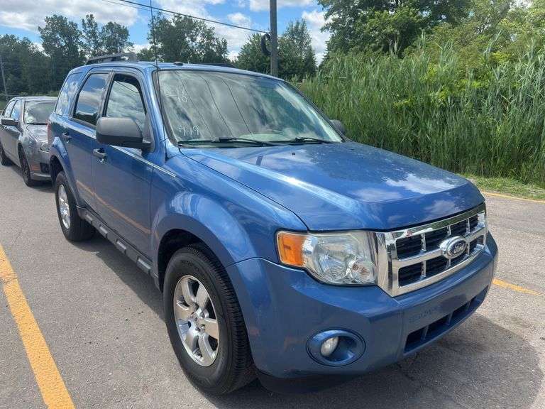 2010 FORD Escape XLT 1FMCU0DG3AKC45689