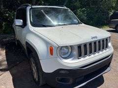 2015 JEEP Renegade Limited ZACCJBDT8FPB30492 MIW-2529-1132-MI