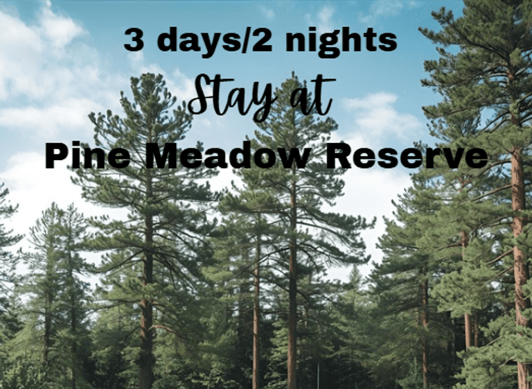 2 Night Stay at Pine Meadow Reserve