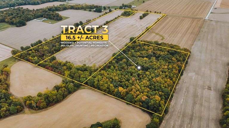 16 +/- Acres