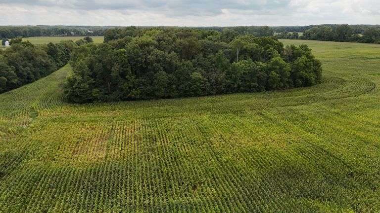 220+/- Acres White County Indiana Farm Auction