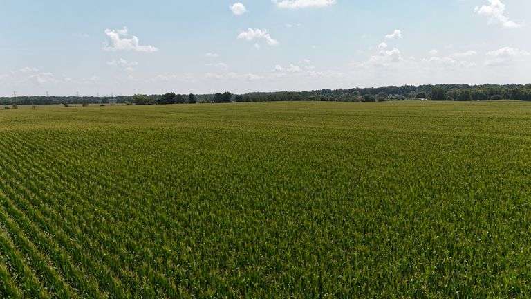 43 +/- Acres