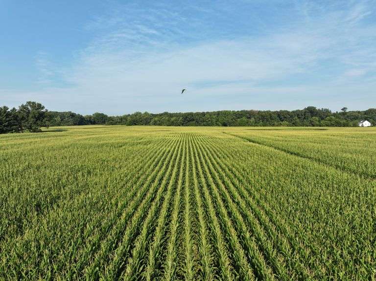 188 +/- Acres Starke County, Indiana Farm Auction