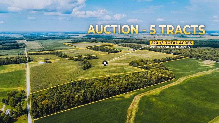 220+/- Acres White County Indiana Farm Auction