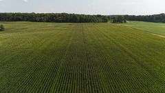 220+/- Acres White County Indiana Farm Auction