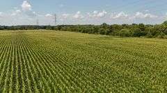43 +/- Acres