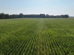 188 +/- Acres Starke County, Indiana Farm Auction