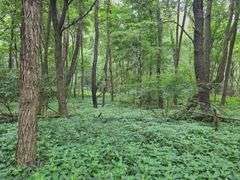 220+/- Acres White County Indiana Farm Auction