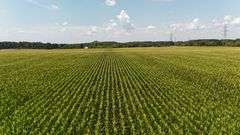 43 +/- Acres