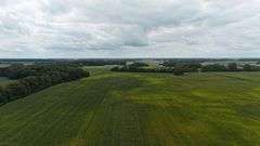 220+/- Acres White County Indiana Farm Auction