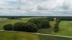 220+/- Acres White County Indiana Farm Auction