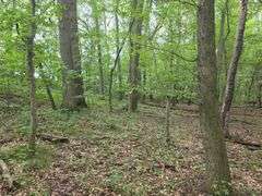 220+/- Acres White County Indiana Farm Auction