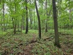 220+/- Acres White County Indiana Farm Auction