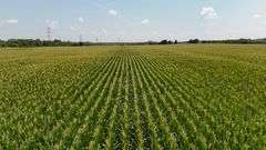 43 +/- Acres
