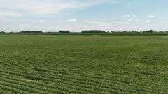 110 +/- Acres Carroll County, Indiana Farm Auction