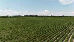 110 +/- Acres Carroll County, Indiana Farm Auction