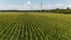 43 +/- Acres